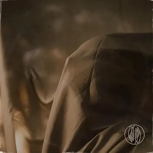 Limbs (USA-2) : I Used to Be You